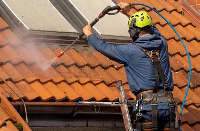 Démoussage et hydrofuge de toiture à Saint-Étienne-au-Mont